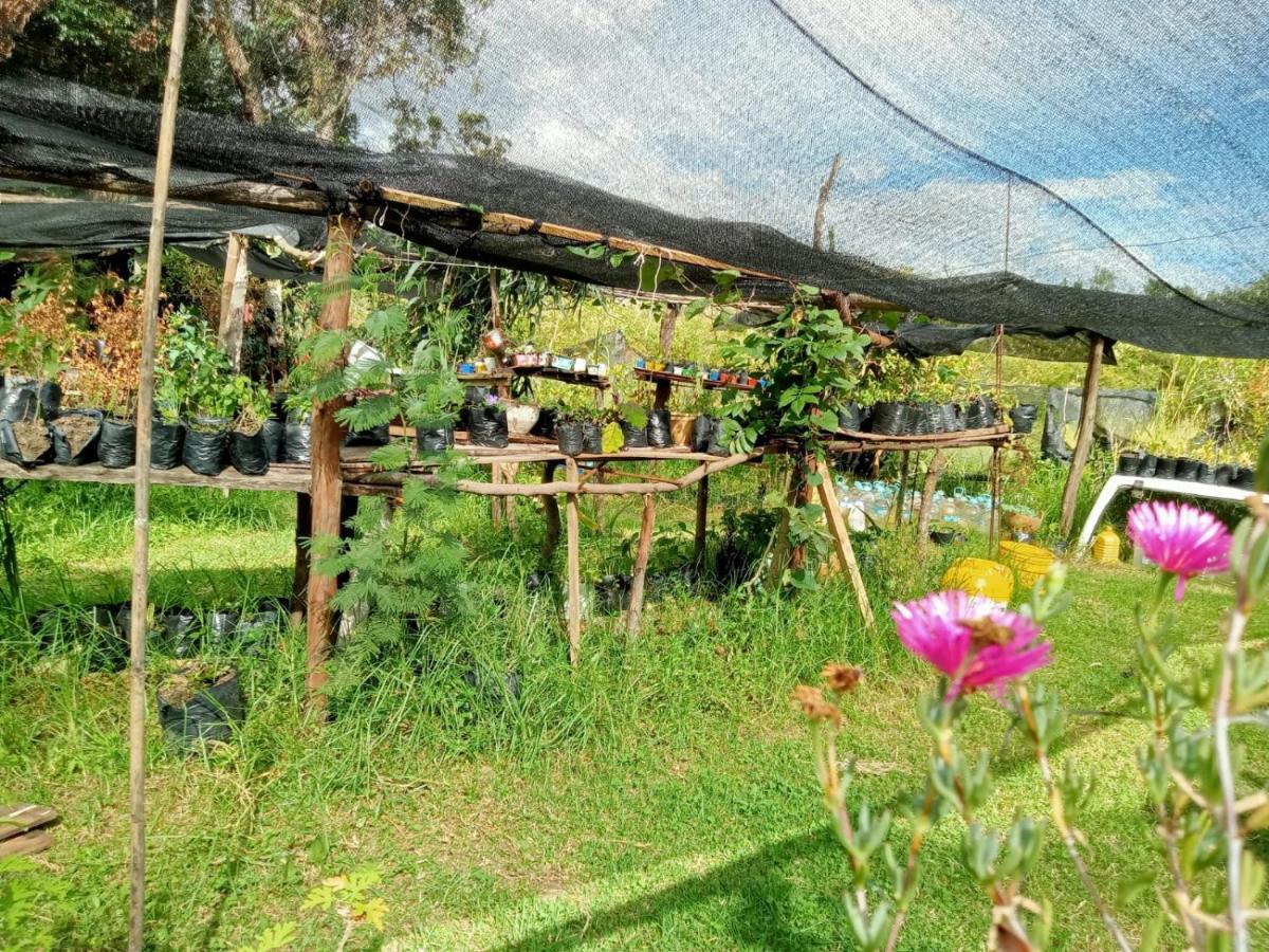 Hospedaje Y Zona De Camping Pistacho Villa de Leyva Exterior foto
